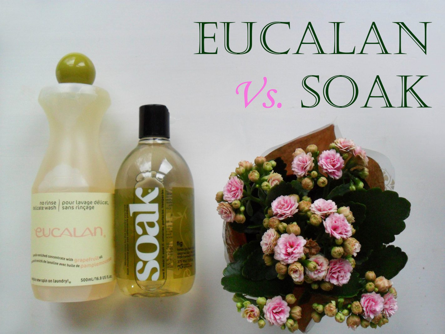 Soak Vs. Eucalan Lingerie Wash - Which is Best?