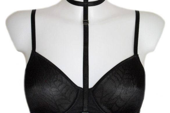 100 Days, 100 Unique Lingerie Accessories