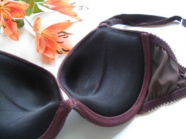 Lingerie Review: Fleur of England Hot Chocolate Push Up Bra & Brief