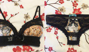 Lingerie Review: Purrfect Pineapples Kitty Black & Gold Lace Bra Set