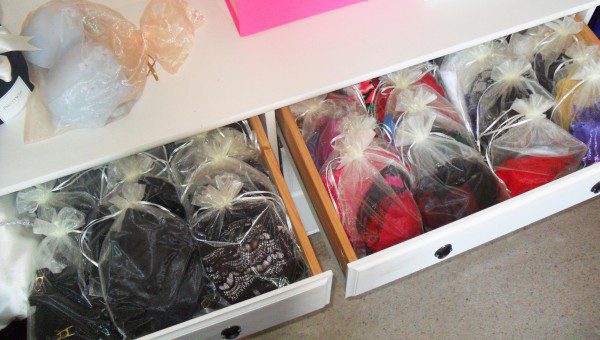 lingerie-storage-bags-clear-organza-600x340