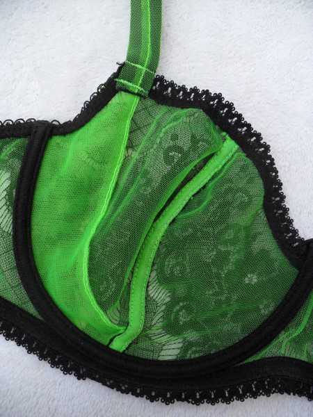 claudette-en-dentelle-green-bra-review-450x600