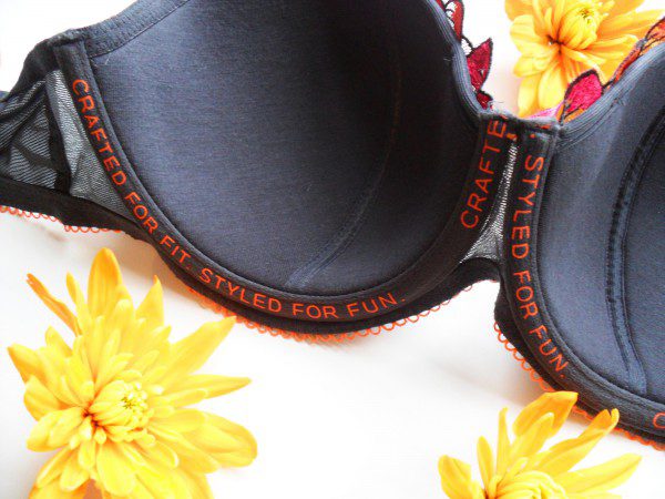 Off the Rack ~ Reviewing Cleo by Panache's “Hettie” Bra