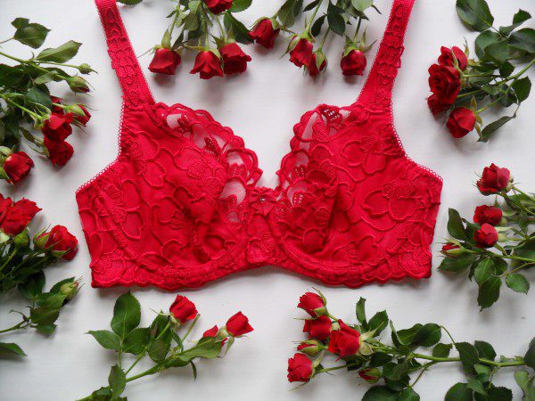 fauve-chloe-balcony-bra-review-600x450