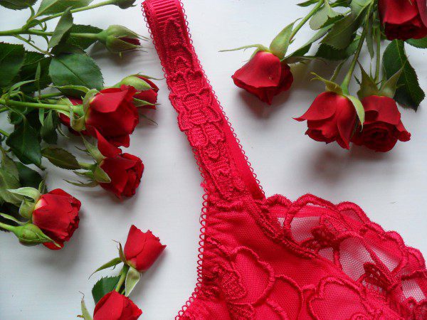 fauve-chloe-bra-review-in-red-600x450