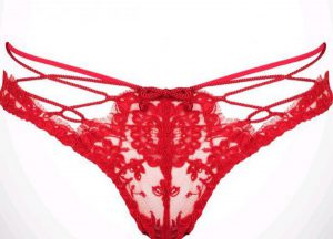 agent-provocateur-eviee-knickers-600x431