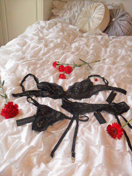 Lingerie Review Colette Sebastian Elise Bra Thong Suspender