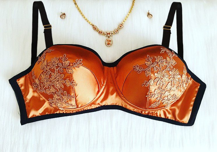 Lingerie I Love: V Cortesi's Bronze Silk Bra & Embroidered French