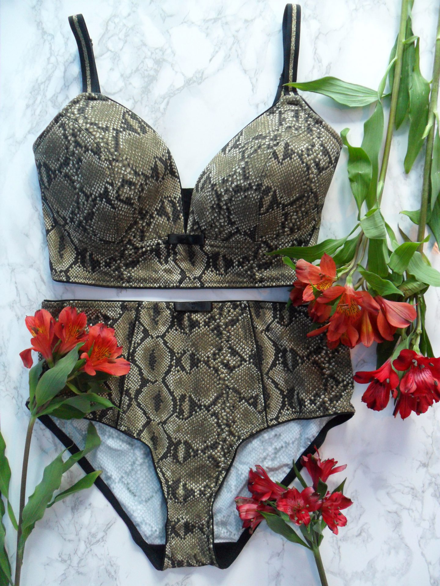 Lingerie Review: Bras Without Wires Python Bra & High-Waisted