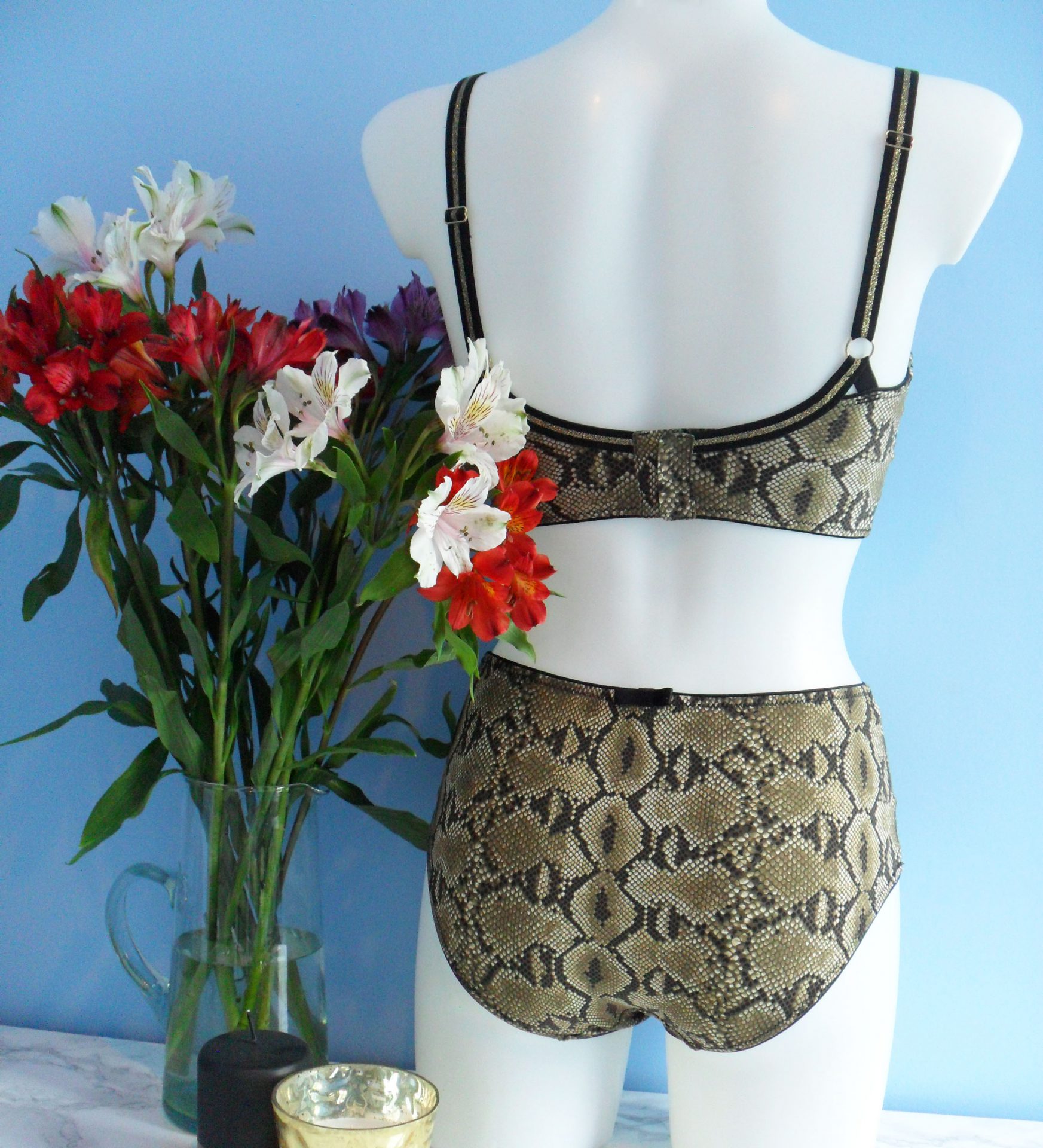 Lingerie Review: Bras Without Wires Python Bra & High-Waisted Knickers