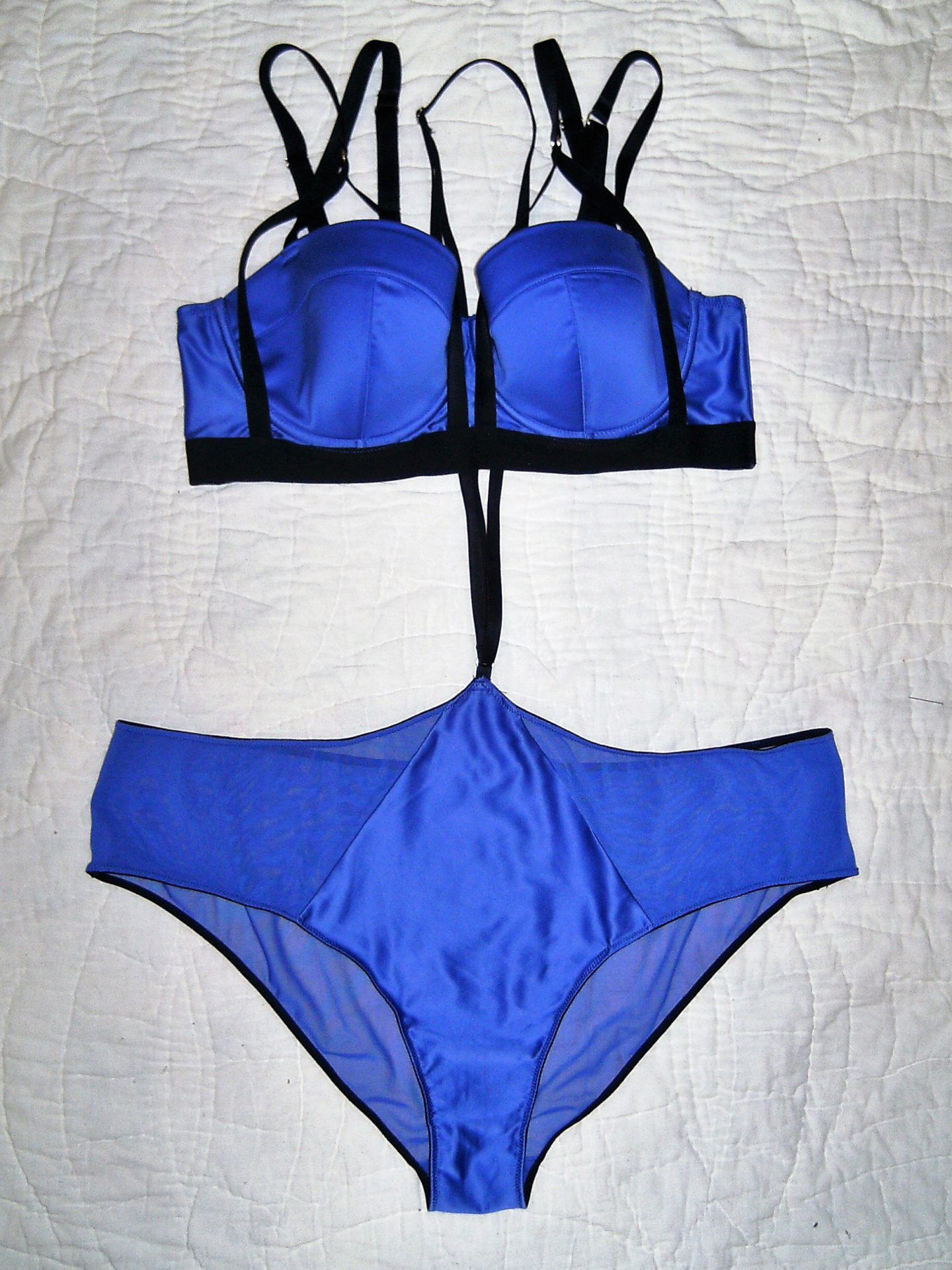 Branded Lace Blue Brief – Playful Promises