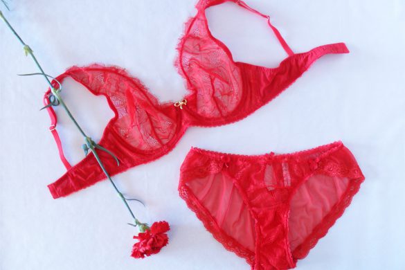 Lingerie Review: Mimi Holliday Hide & Seek Shoulder Bra & Knickers