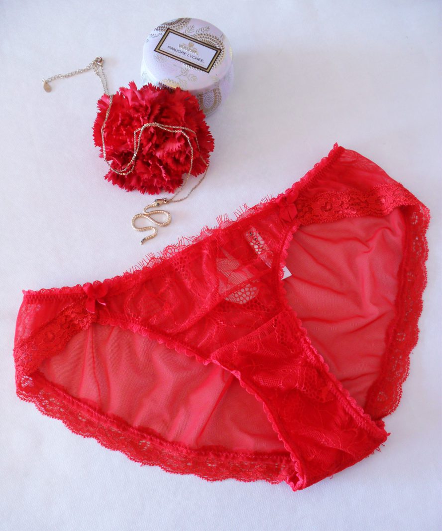 Mimi Holliday Hide and Seek red lace knickers review