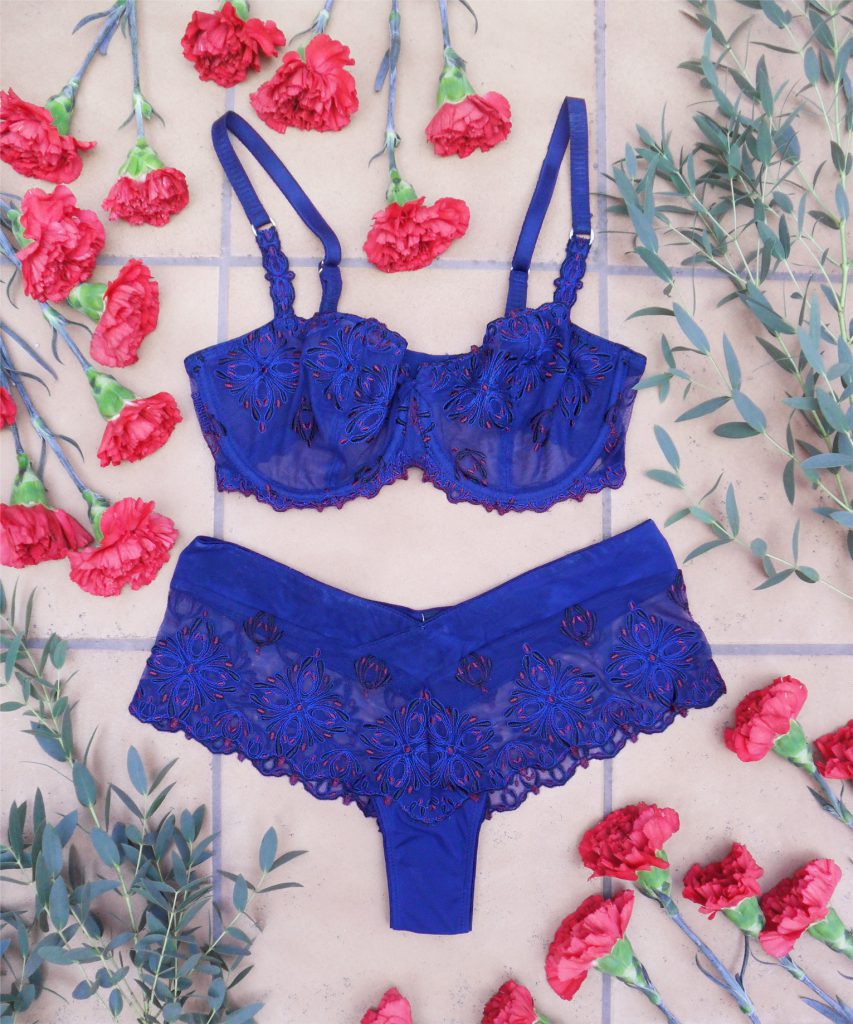 Lingerie Review: Chantelle Champs Elysées Demi-Cup Bra & Hipster | Esty ...