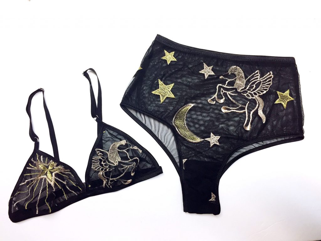 Aries Mystery Undies + Lingerie Set