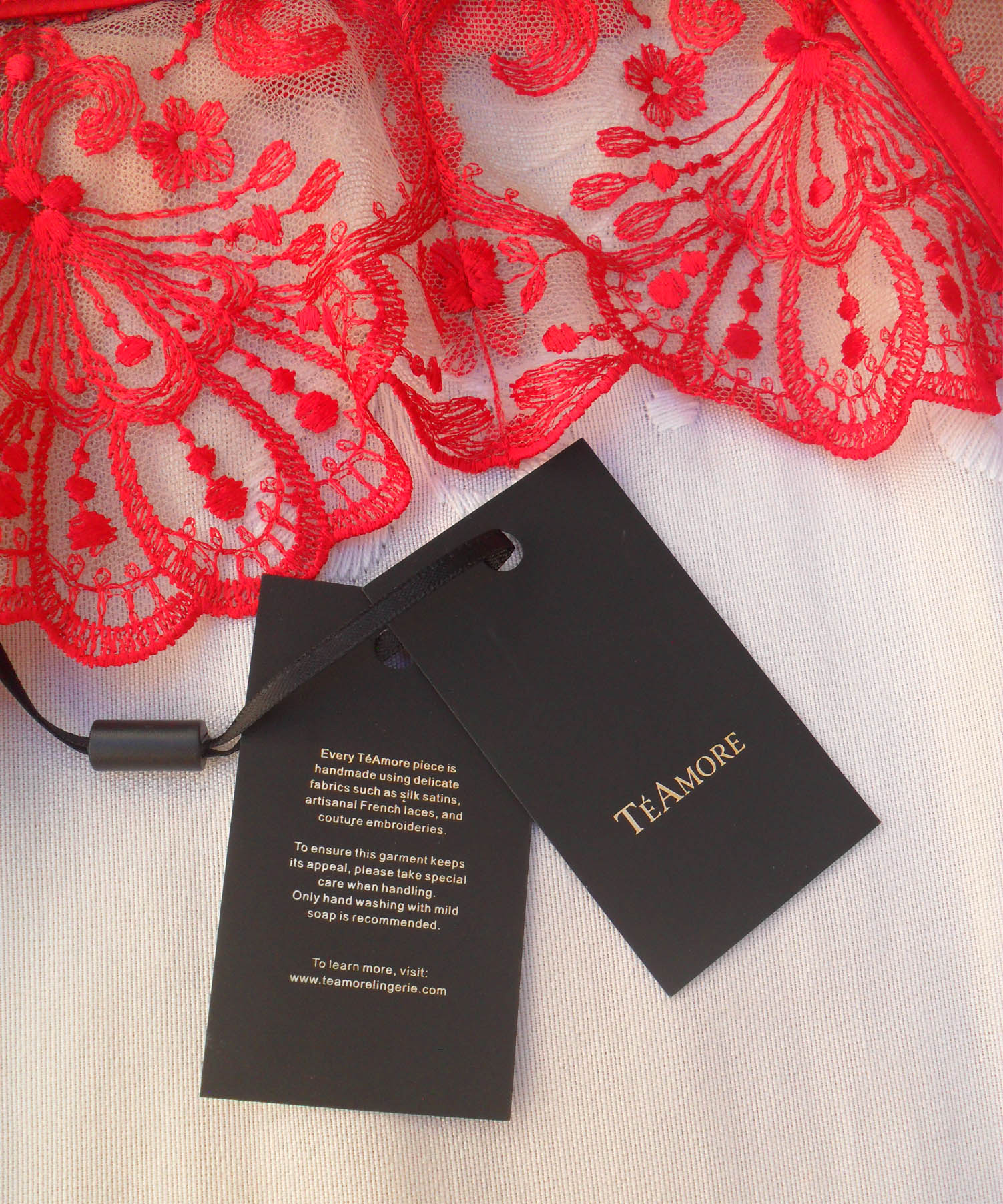 Lingerie Review: TéAmore Spotlight Bra, Brief & Suspender Belt