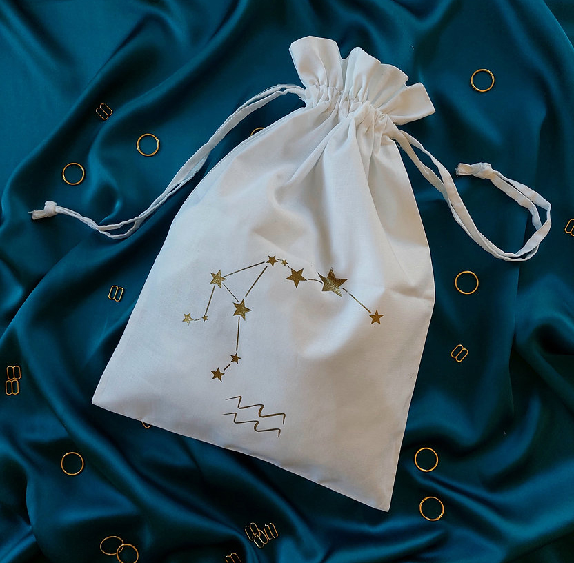 Miss Vivienne star sign constellation lingerie storage bag