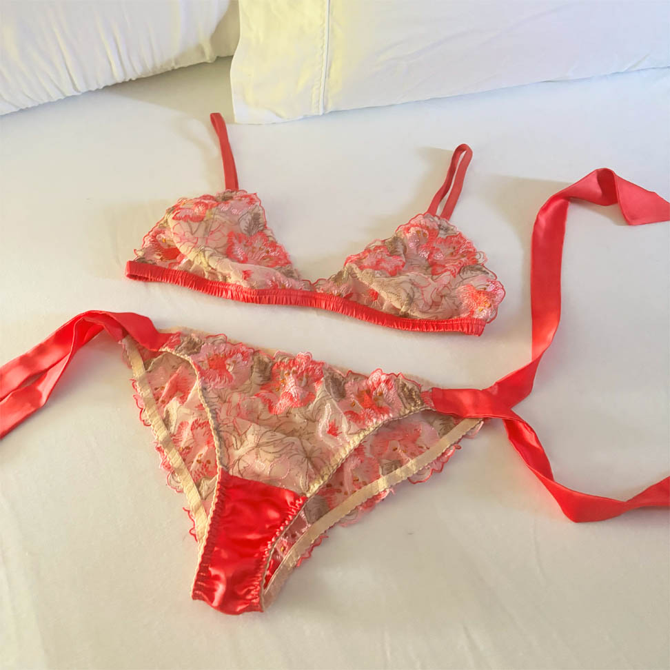 Angela Friedman Posie embroidered bralette and tie side knickers set