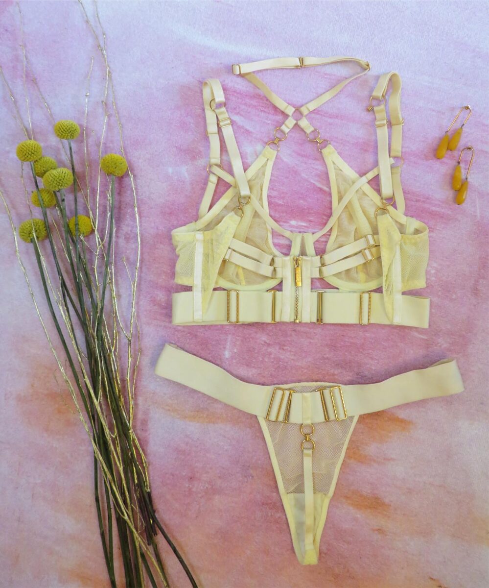 Bordelle lingerie review - Cadi bodice bra and thong - low res