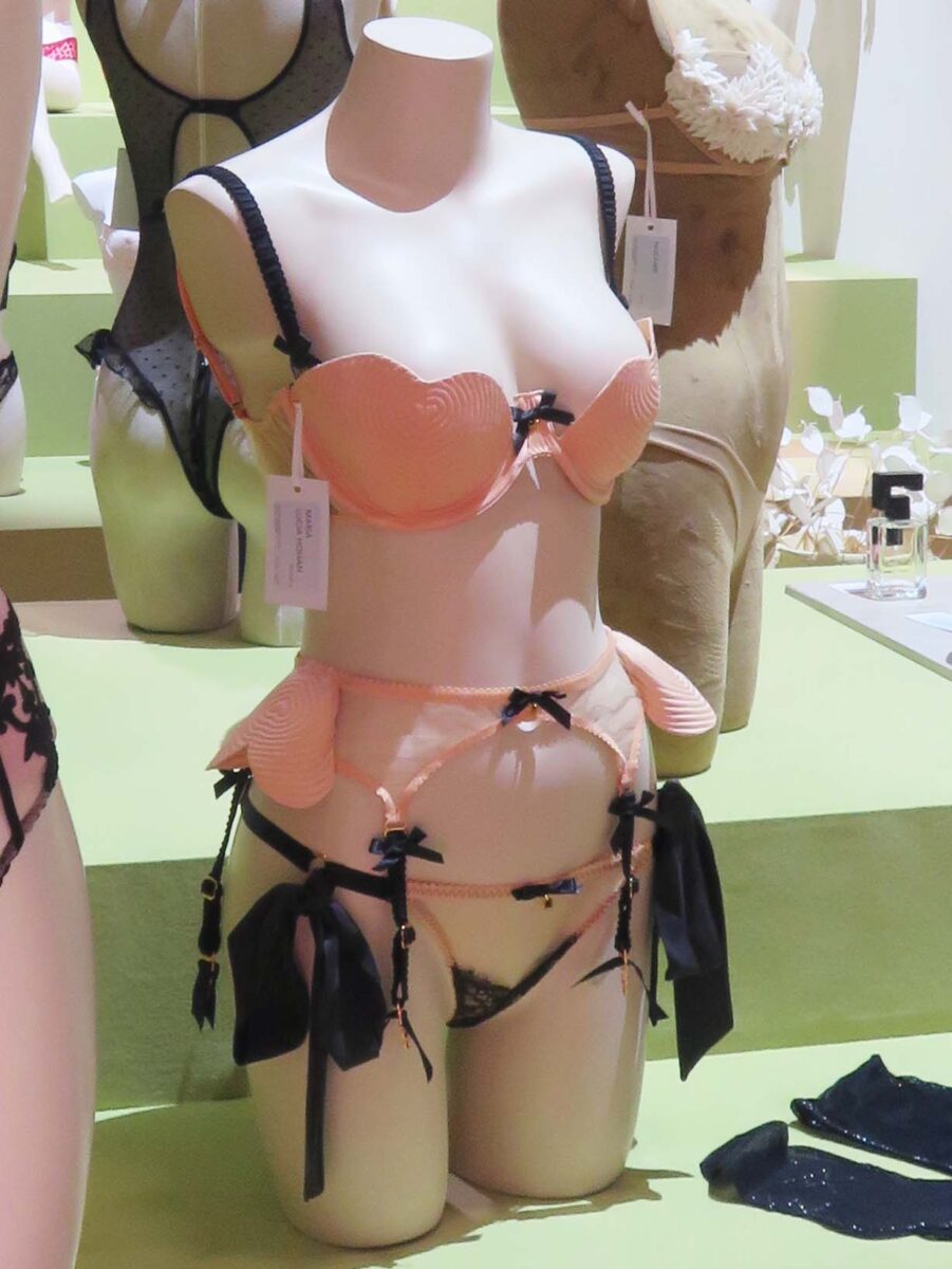 Maria Lucia Hohan Pinky lingerie set